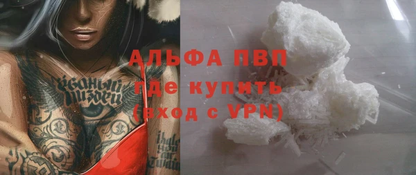 индика Алексин