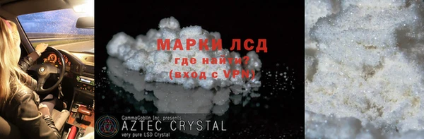 индика Алексин