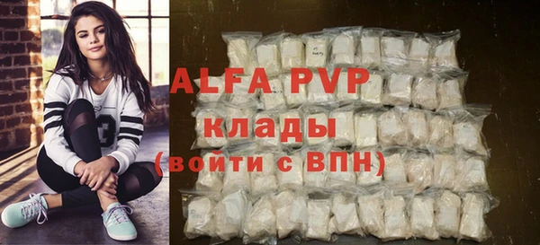 индика Алексин